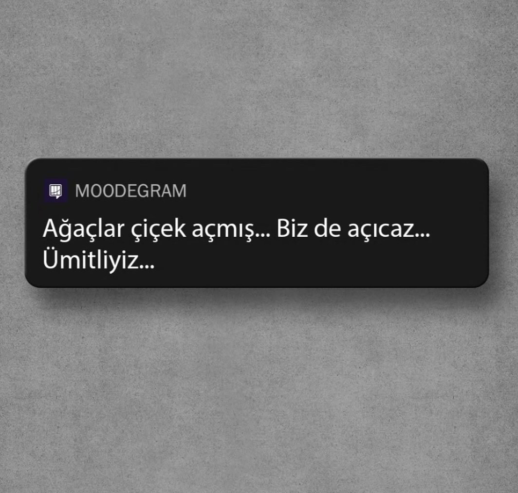 Yelizz (@yelizyty) on Twitter photo 