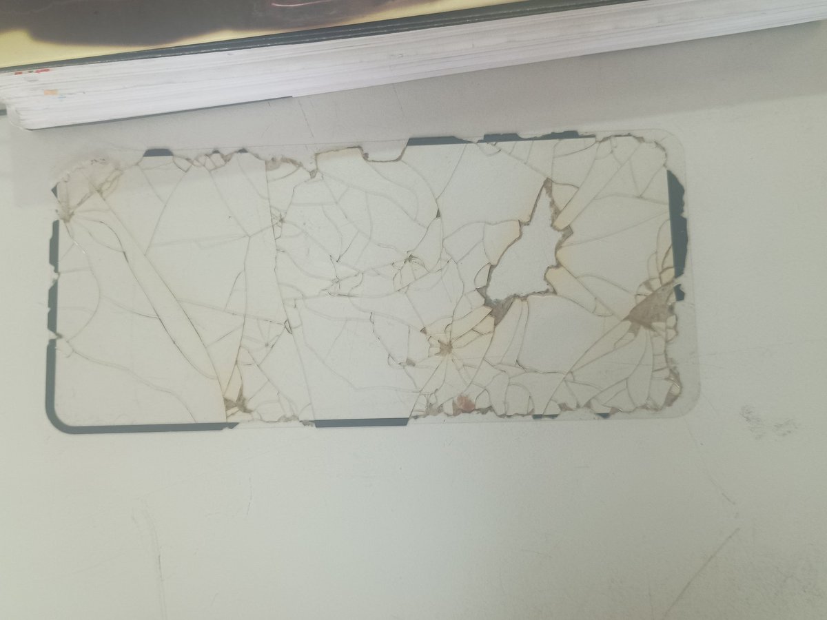 𓆩✭𝒴𝓾𝓲𝓴𝓸✶𝒥𝓪𝓬𝓴𝓸𝓻𝓯𝓮𝓾✭𓆪 tweet media