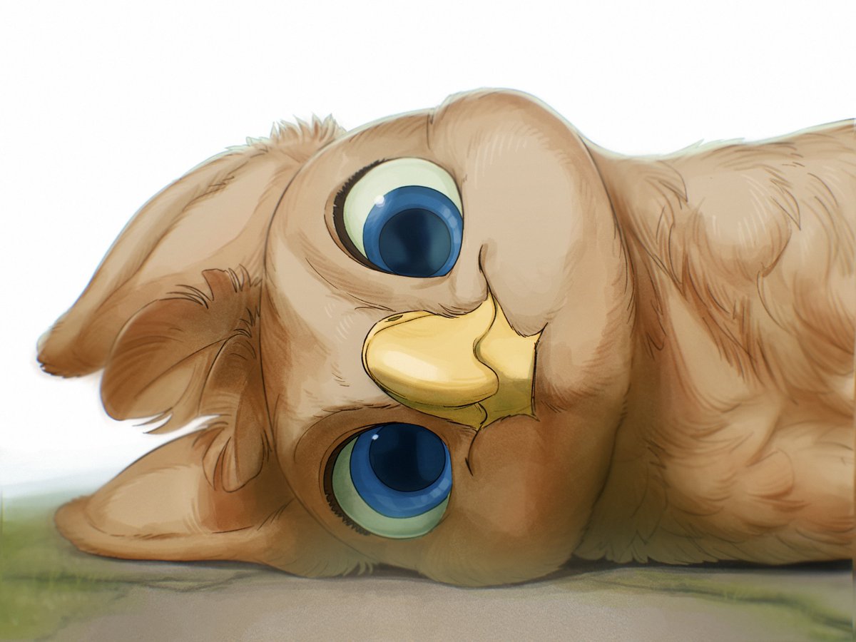 黒島亜夢|Funa tweet media