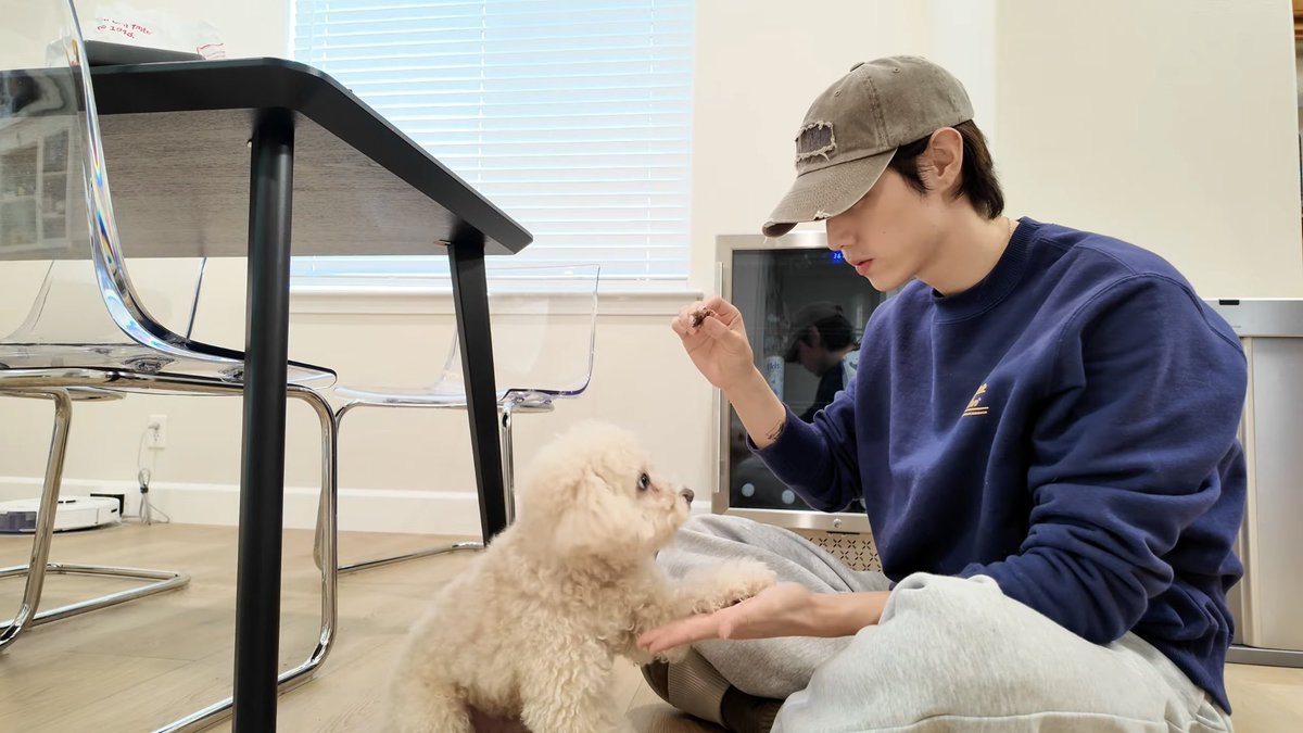 m e l l o tweet media