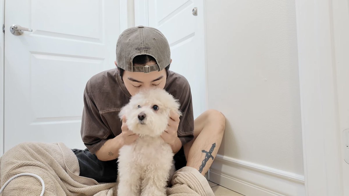 m e l l o tweet media