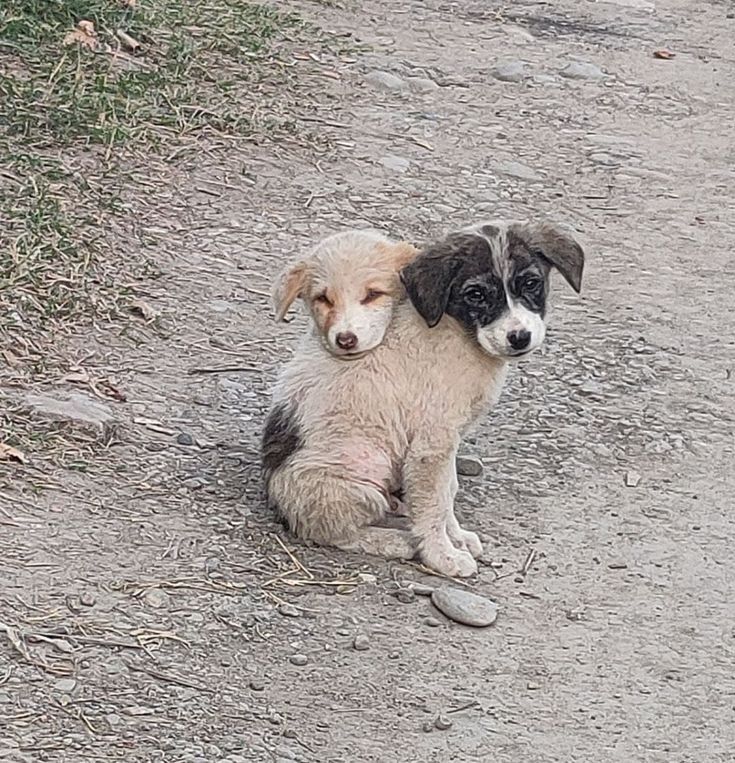 عمار حزام tweet media