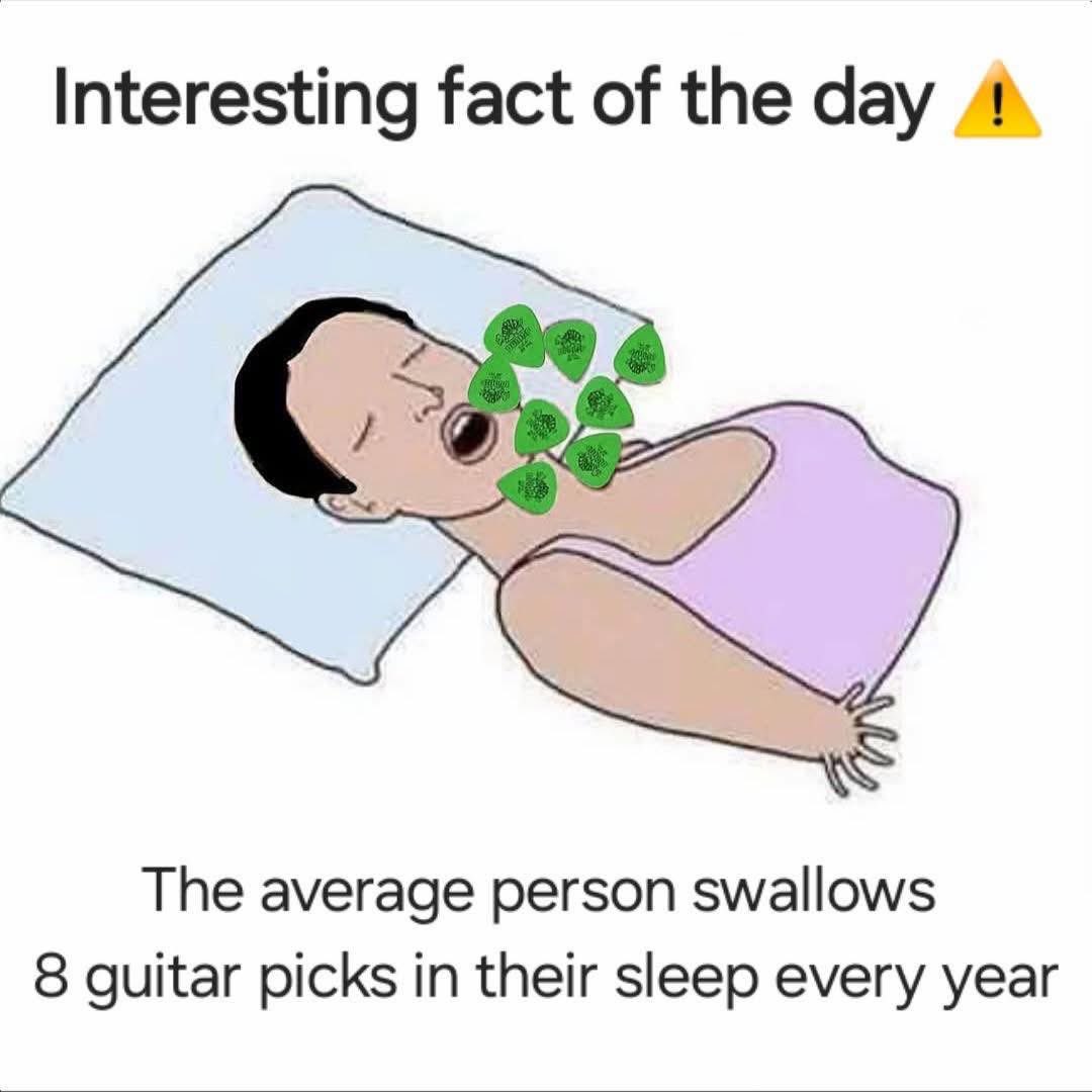 GuitarStuff tweet media