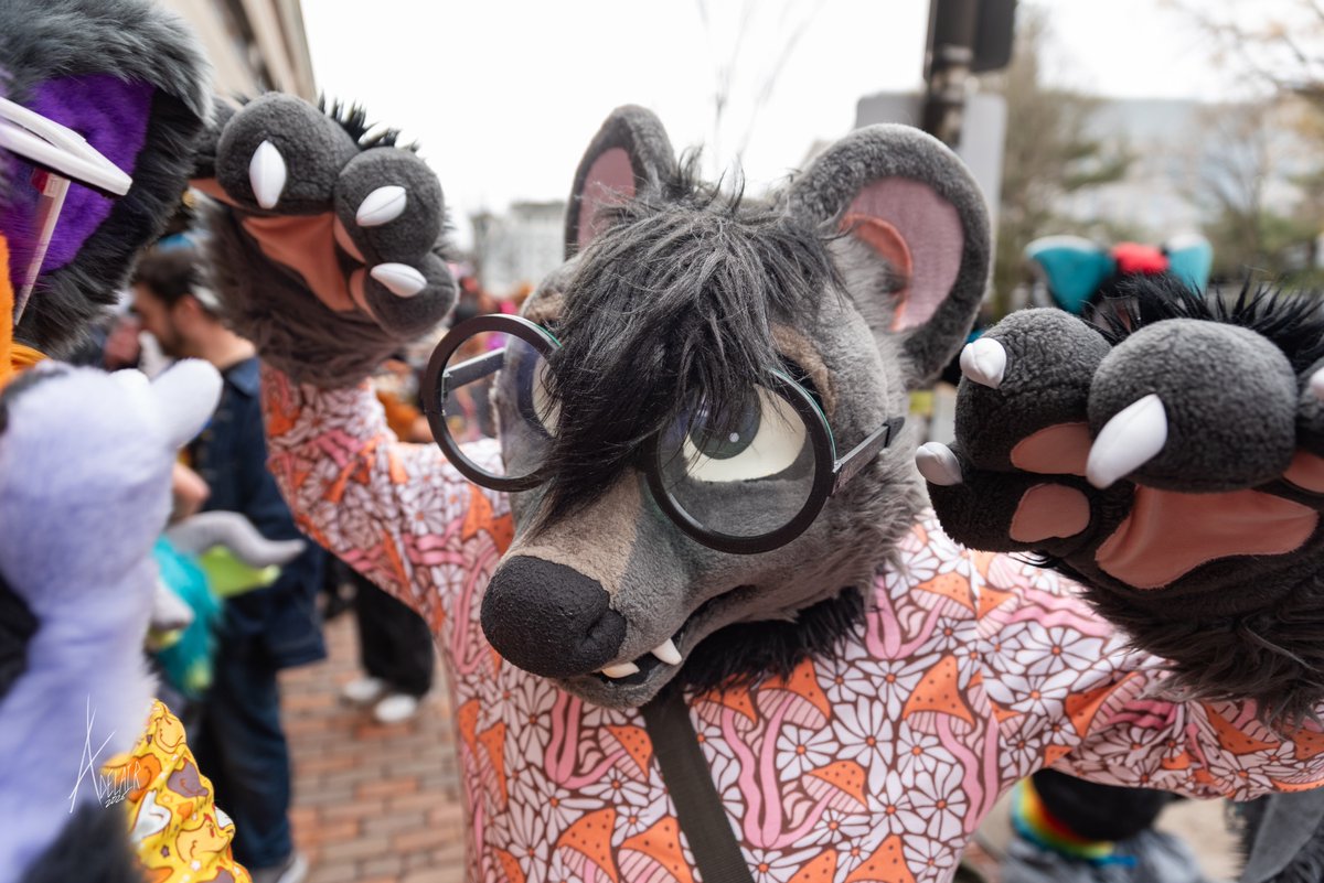 Wix 🔜 FCL tweet media