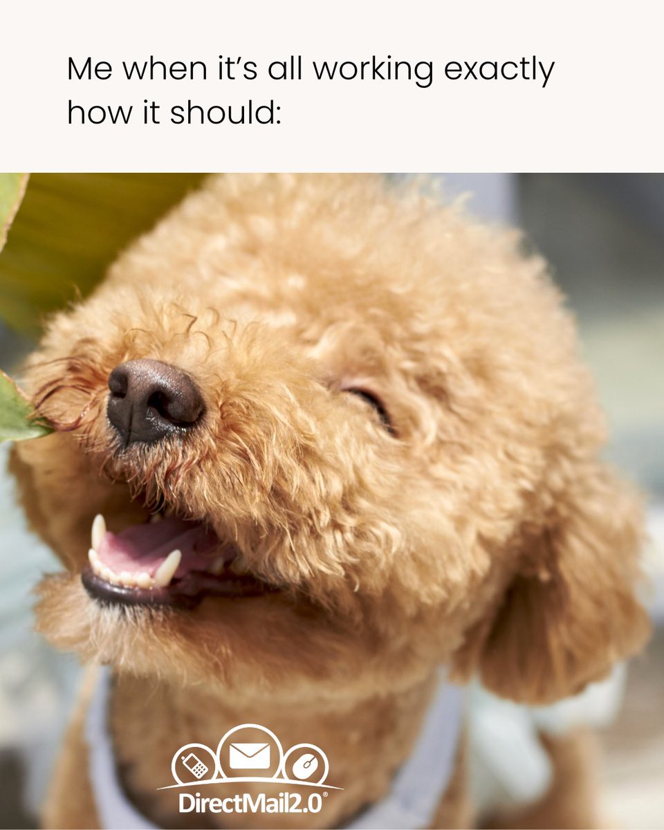 DirectMail2.0 tweet media