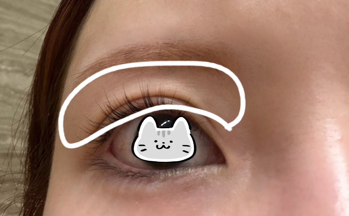 姫乃まゆ tweet media