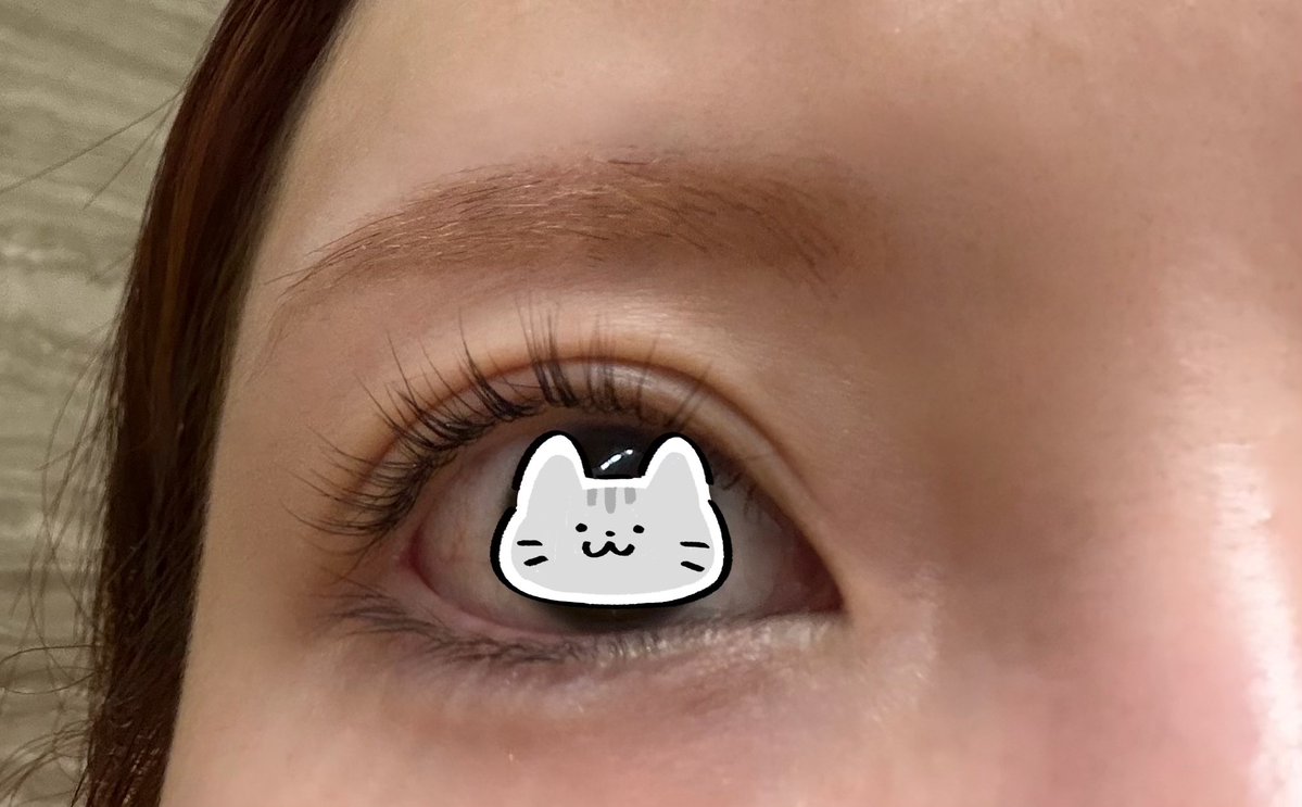 姫乃まゆ tweet media