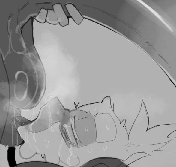 ๐ฆ ๐๐๐๐๐ ๐ฆ tweet media