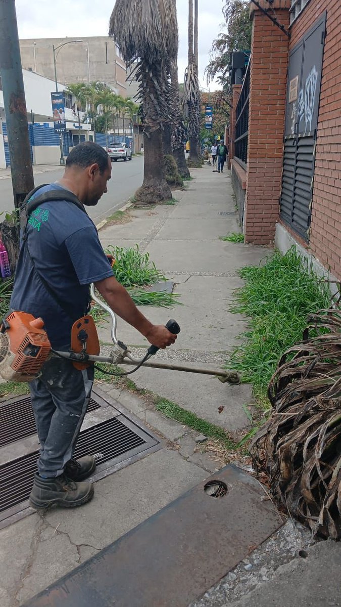 AlcaldiaBaruta's tweet photo. ¡Seguimos trabajando! 🍃
Nuestras cuadrillas de #AcciónInmediata siguen realizando labores de:
🍃 Desmalezado y limpieza:
📍 Urb. #LaTrinidad
📍 Urb. #Chuao
🚦 Demarcación:
📍 Urb. #PradosDelEste
📍 Sector. #LasMinas https://t.co/wITcGhGv3A