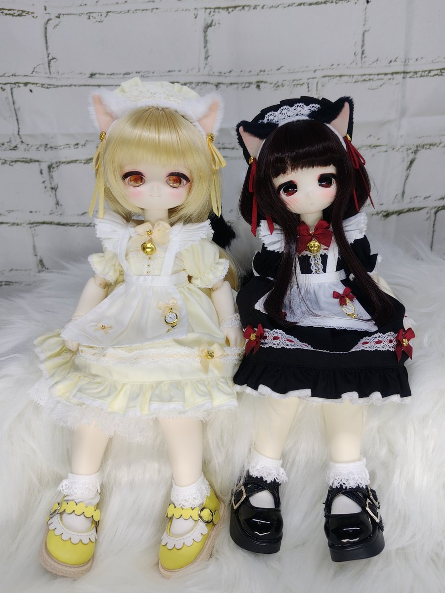 あしゅねこ@猫鍋奉行 tweet media