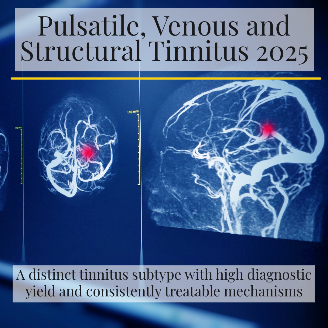 World Tinnitus Congress London 2027 (@WTC2027) / Posts / X