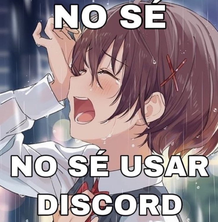 ˚✧₊Ash⁺˳✧༚ tweet media