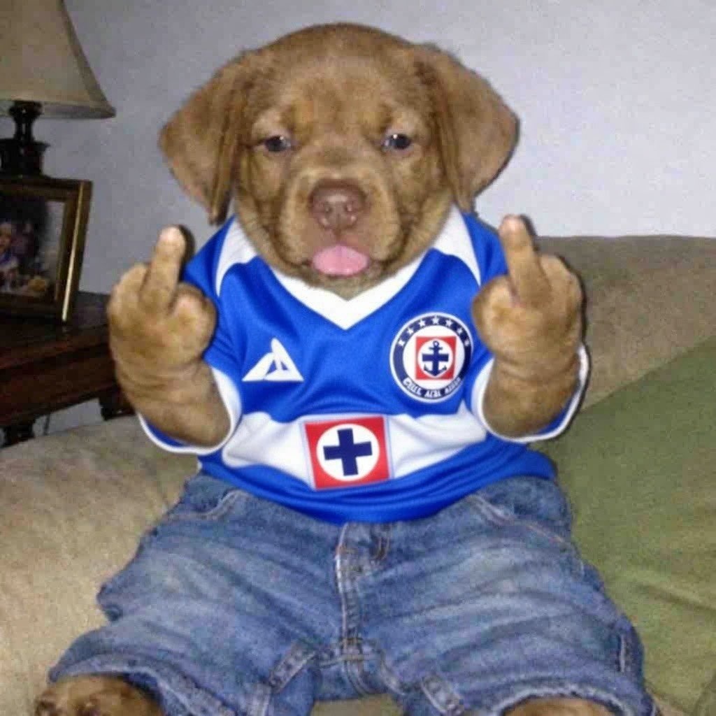 Bluegarou96 tweet media