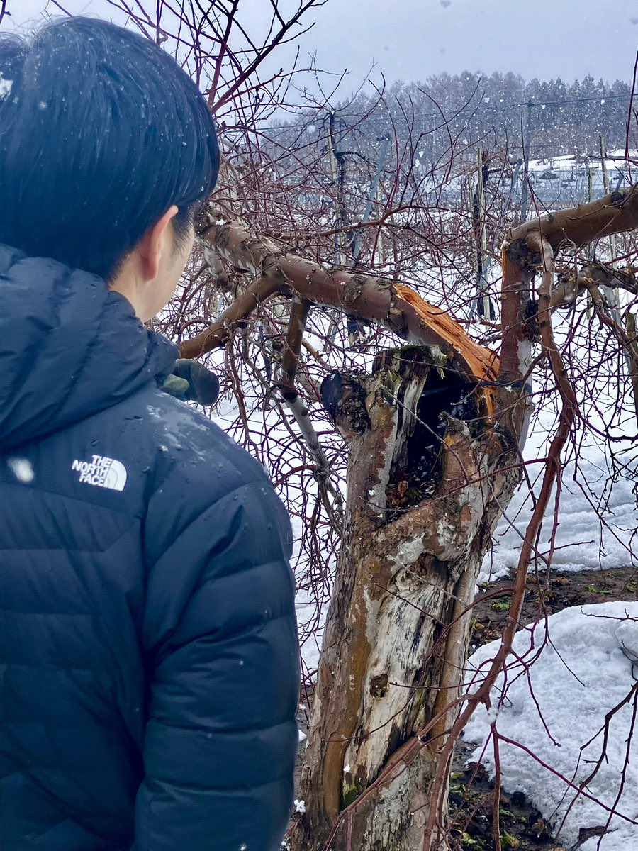 Shion1004's tweet photo. そういえば鈴木大臣ってコート着ないよね、コート絶対似合うと思うんだよなぁ。見てみたい……
#鈴木憲和
#コート https://t.co/Ta4HJK6FBS