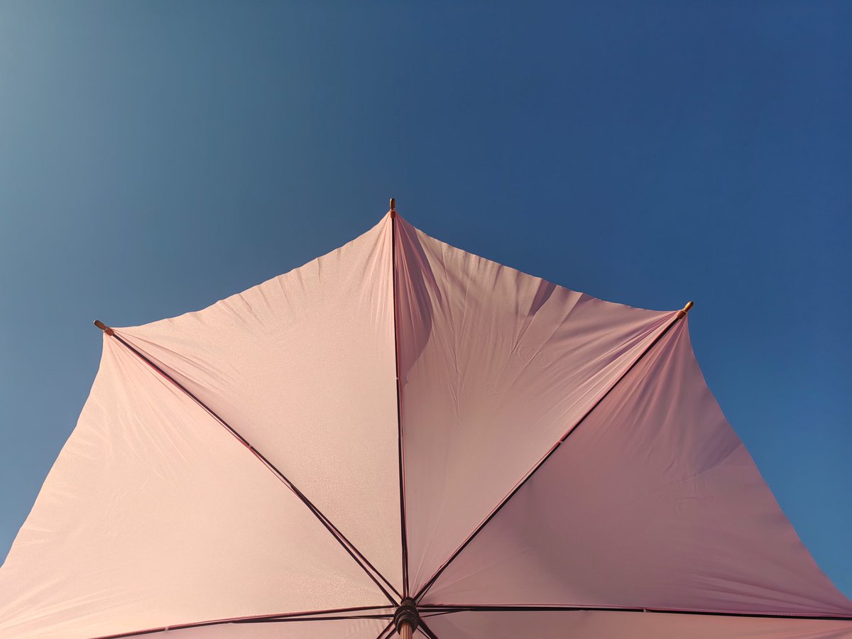 it's by deesign tweet media