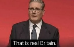 anna🪻🐀 tweet media