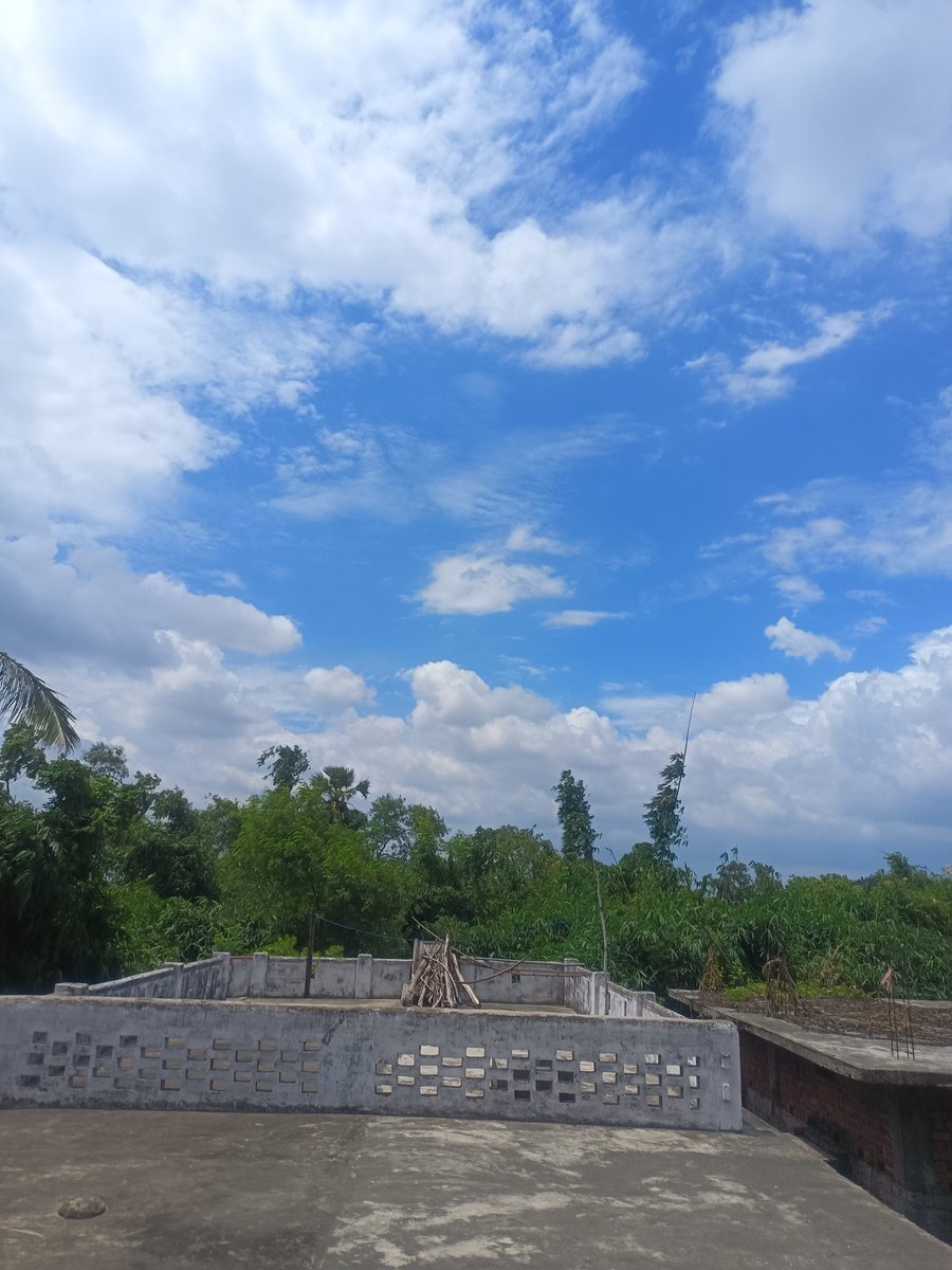 Solmon¿¿¿¿¿ tweet media