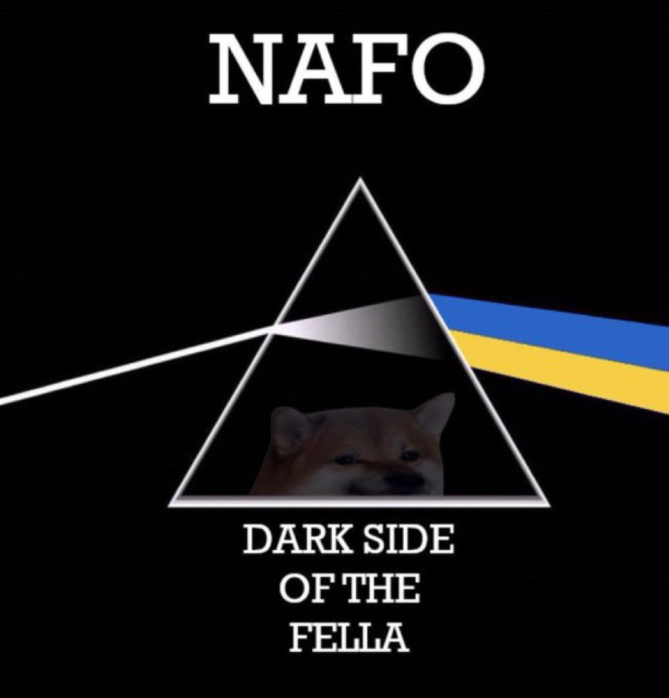 Eliza 🇺🇸🇺🇦🦩 tweet media