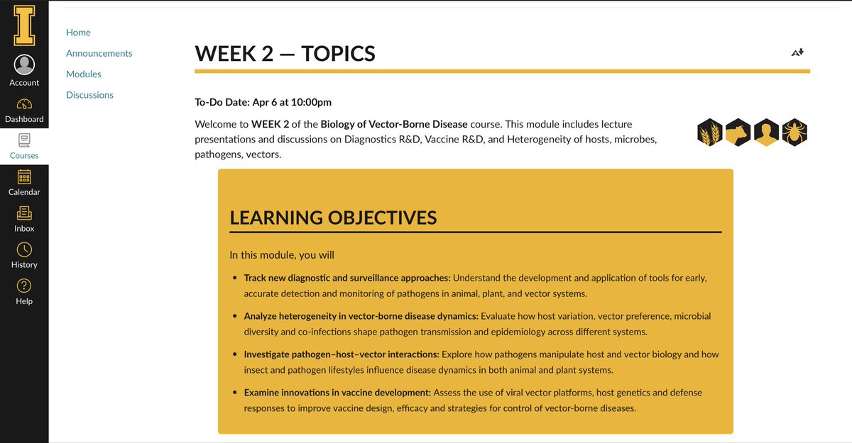 Yora | ᬬᭀᬭ | ꦪꦺꦴꦫ tweet media