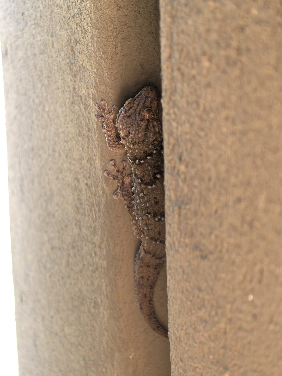 it's by deesign tweet media