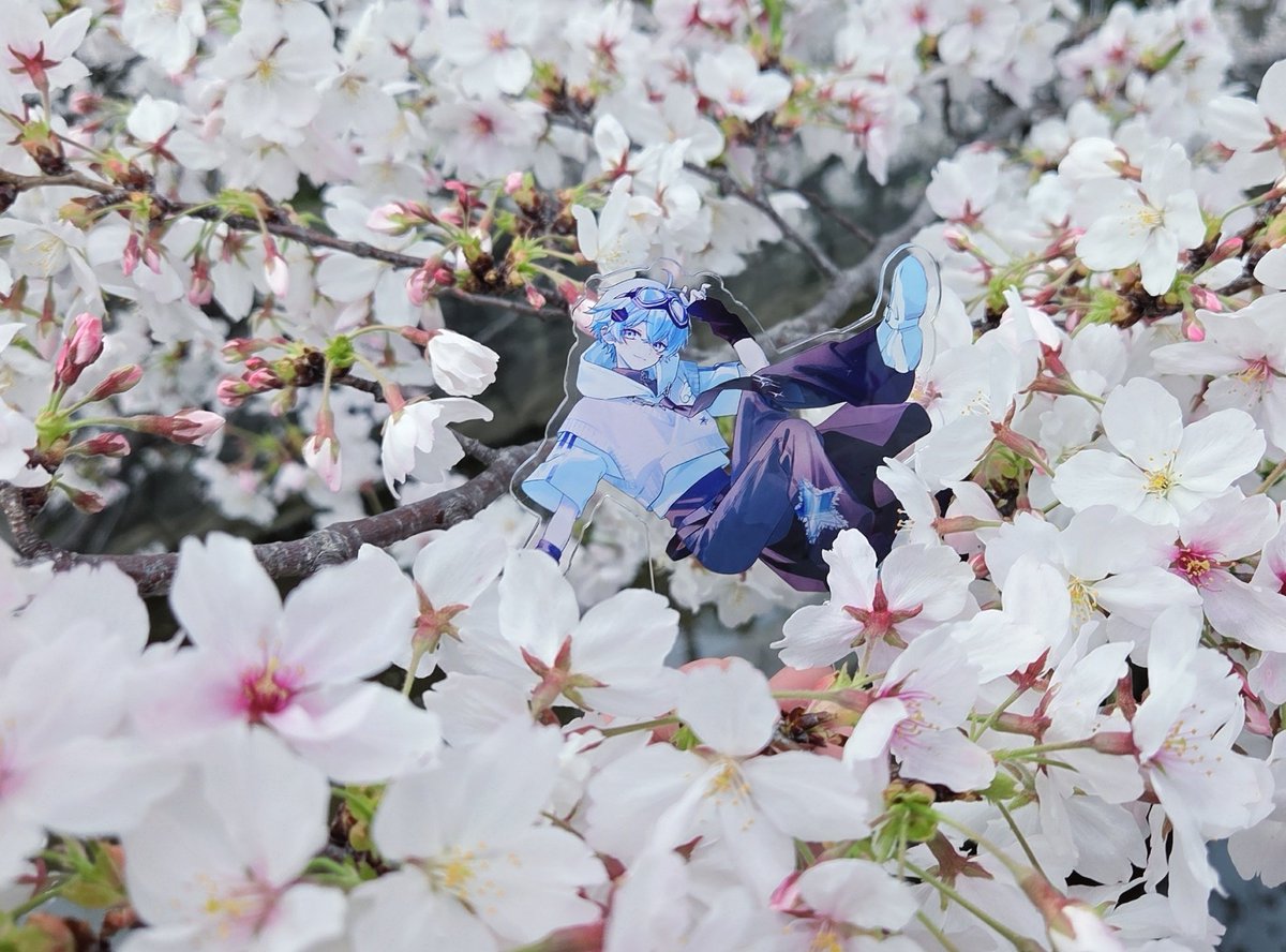 ひなた☁️🐈deのんびり tweet media