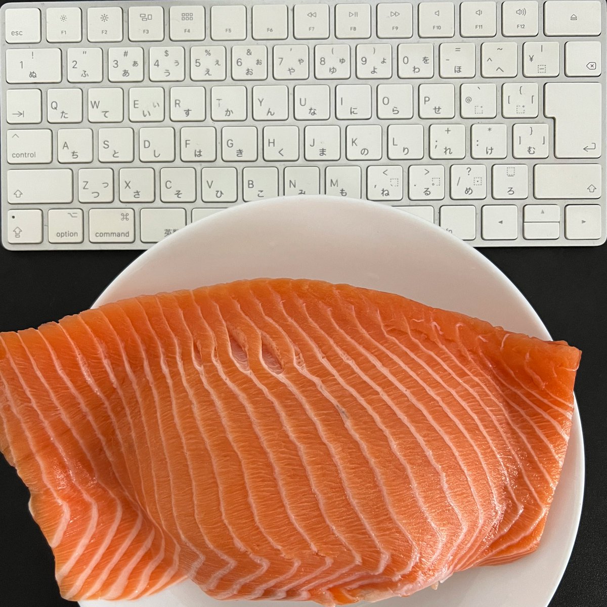 背面８回宙返り tweet media