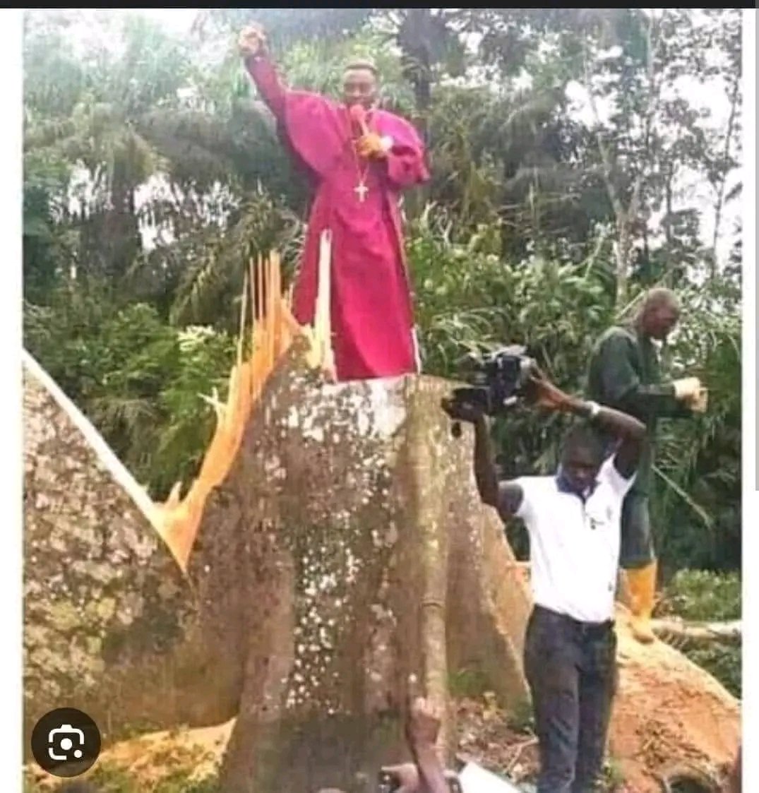 Ochiedike tweet media