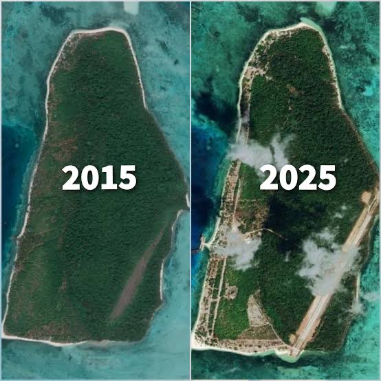 militant tweet media