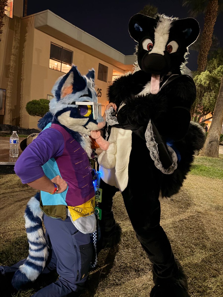 stufftrev 🔞🔜 LVFC, FWA tweet media