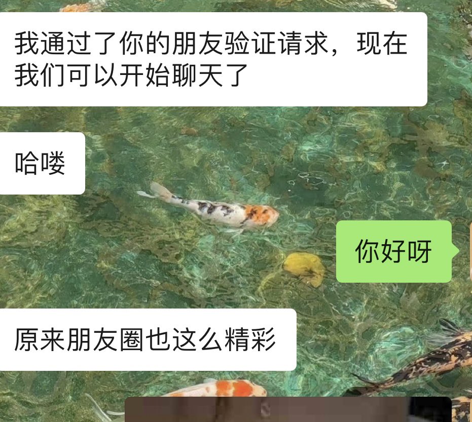 软E的日常～ tweet media