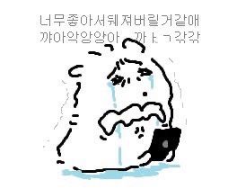 도른자 tweet media