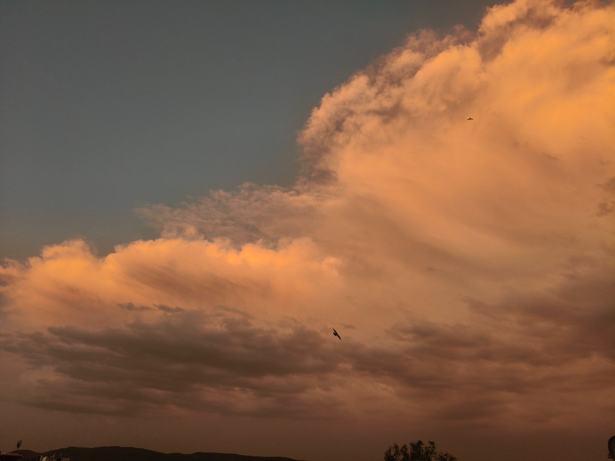 billi sarkar tweet media