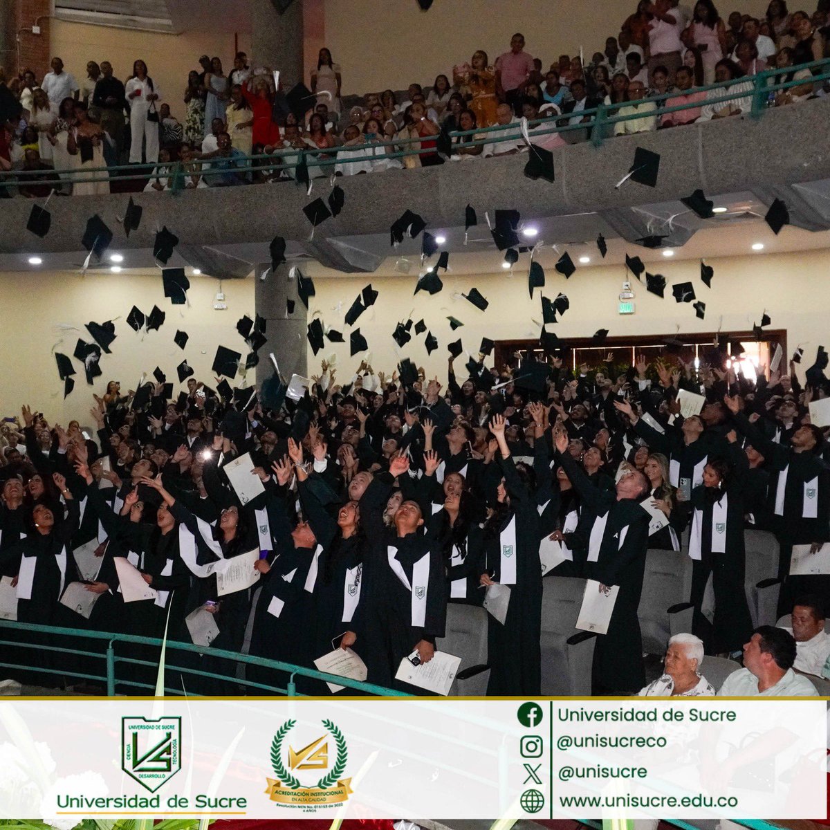 Unisucre tweet media