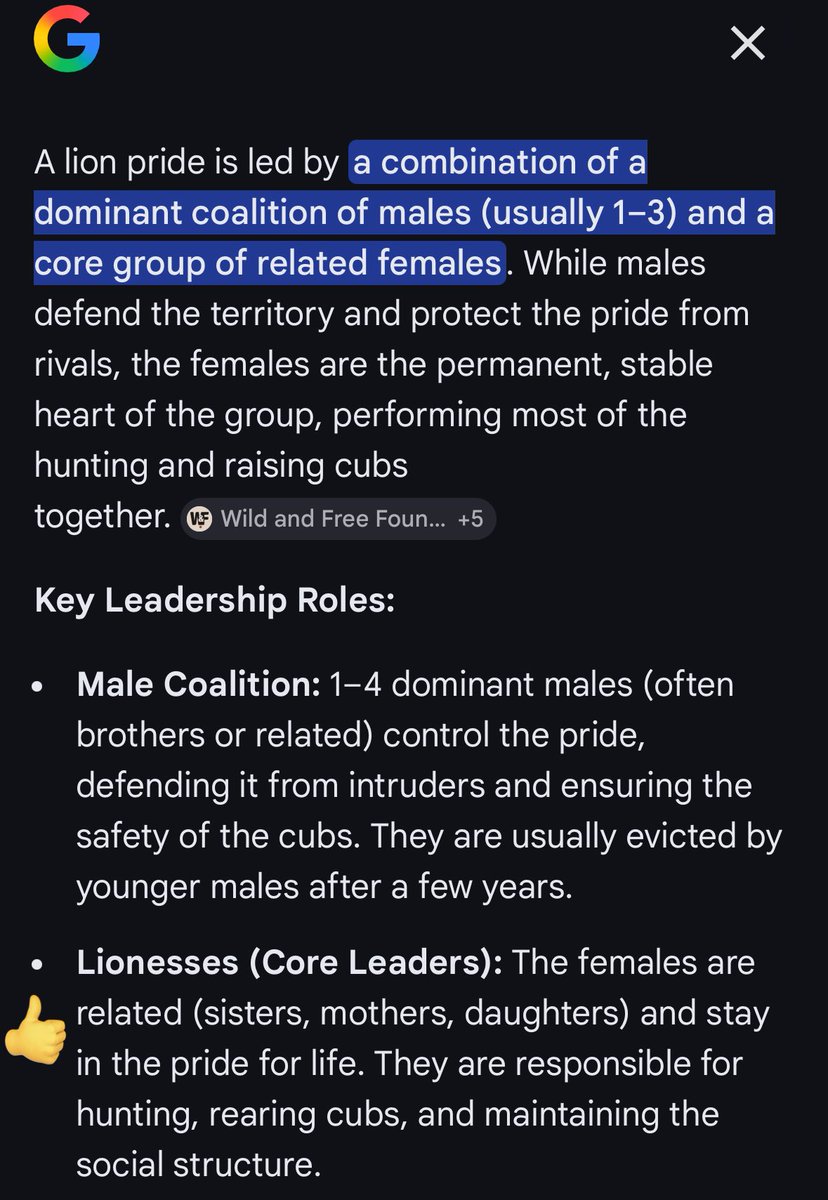 ♡ ellen ♡ tweet media