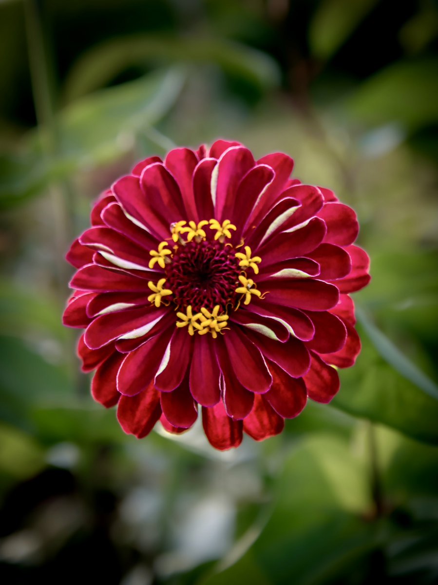 AdmiredArt tweet media