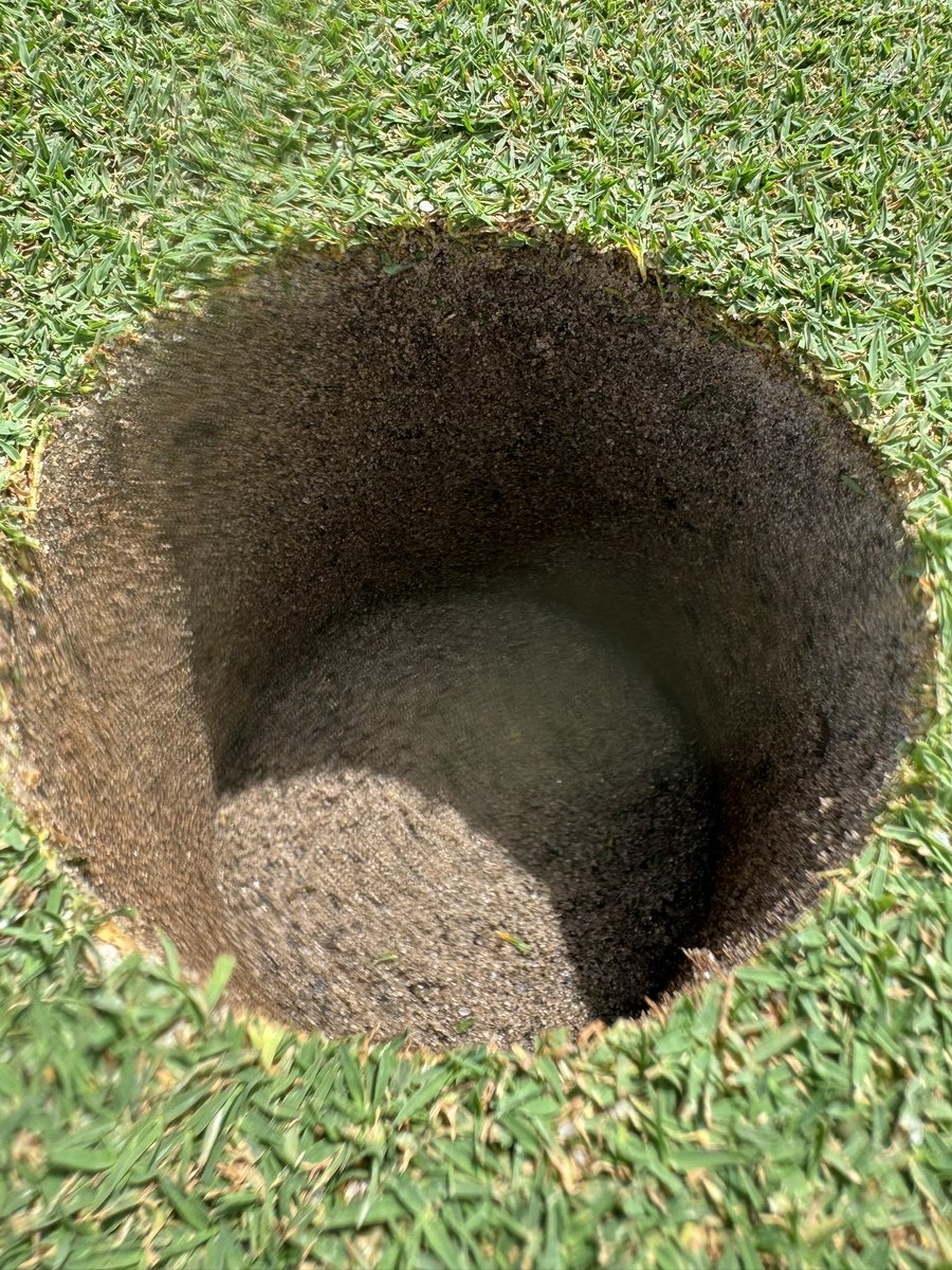lovingturf's tweet image. The roots on this nursery green blow my mind. Grown in throughout the winter and came out looking like this! @AndysTurf I think we have something figure out sir. Love the partnership and support from @SimplotCompany #makingmoves #tiffeagle #performancepack #roots #turflife