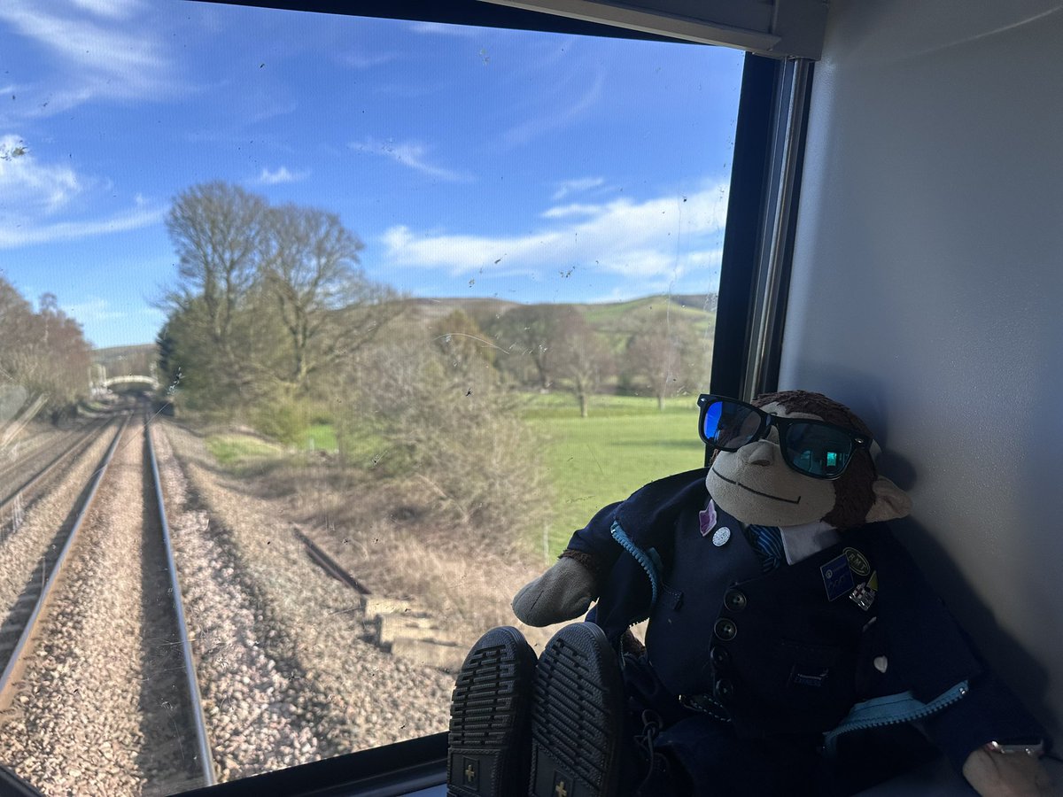 Philip Marsh 🐵 tweet media