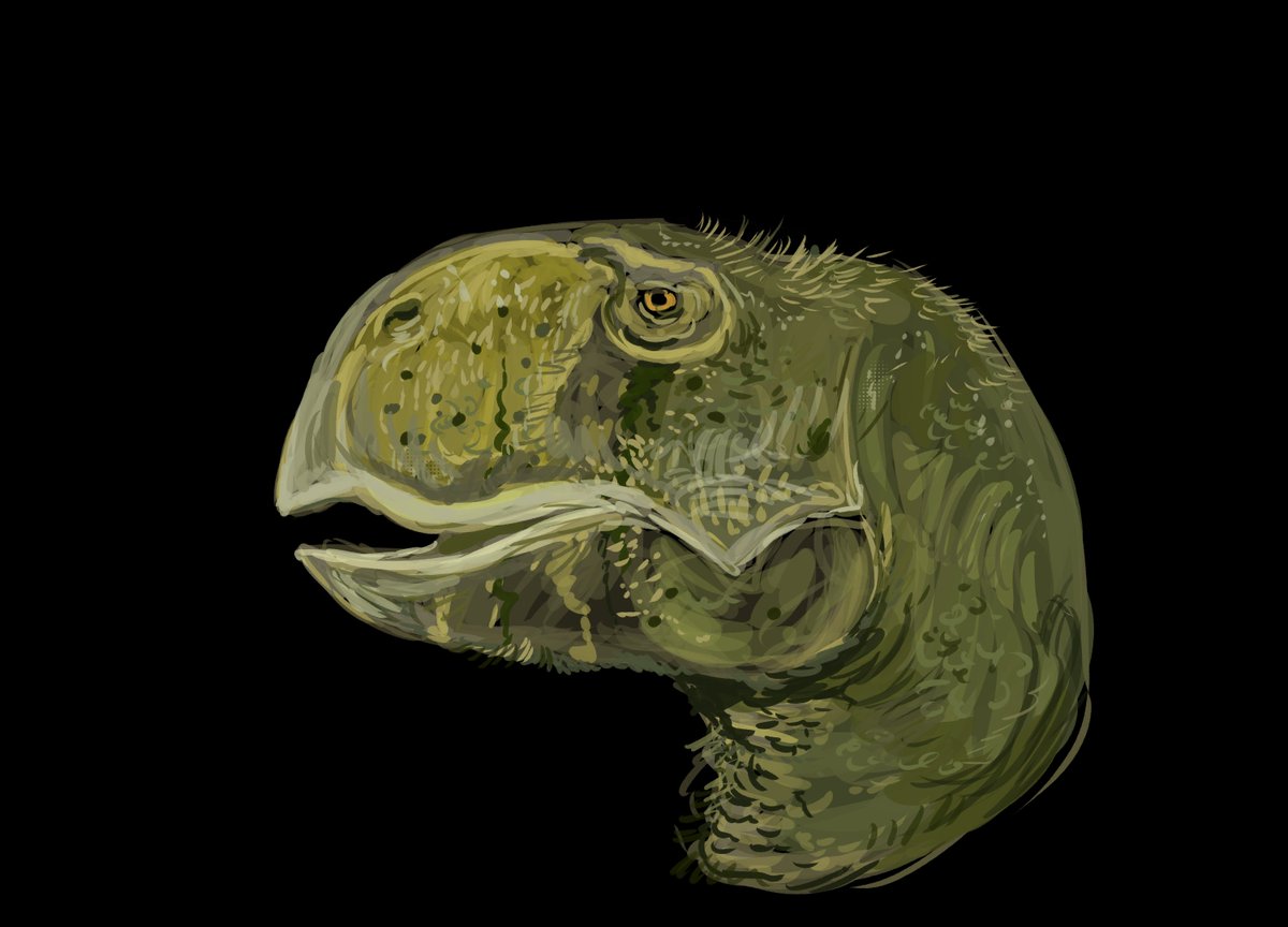 misterarcheo tweet media