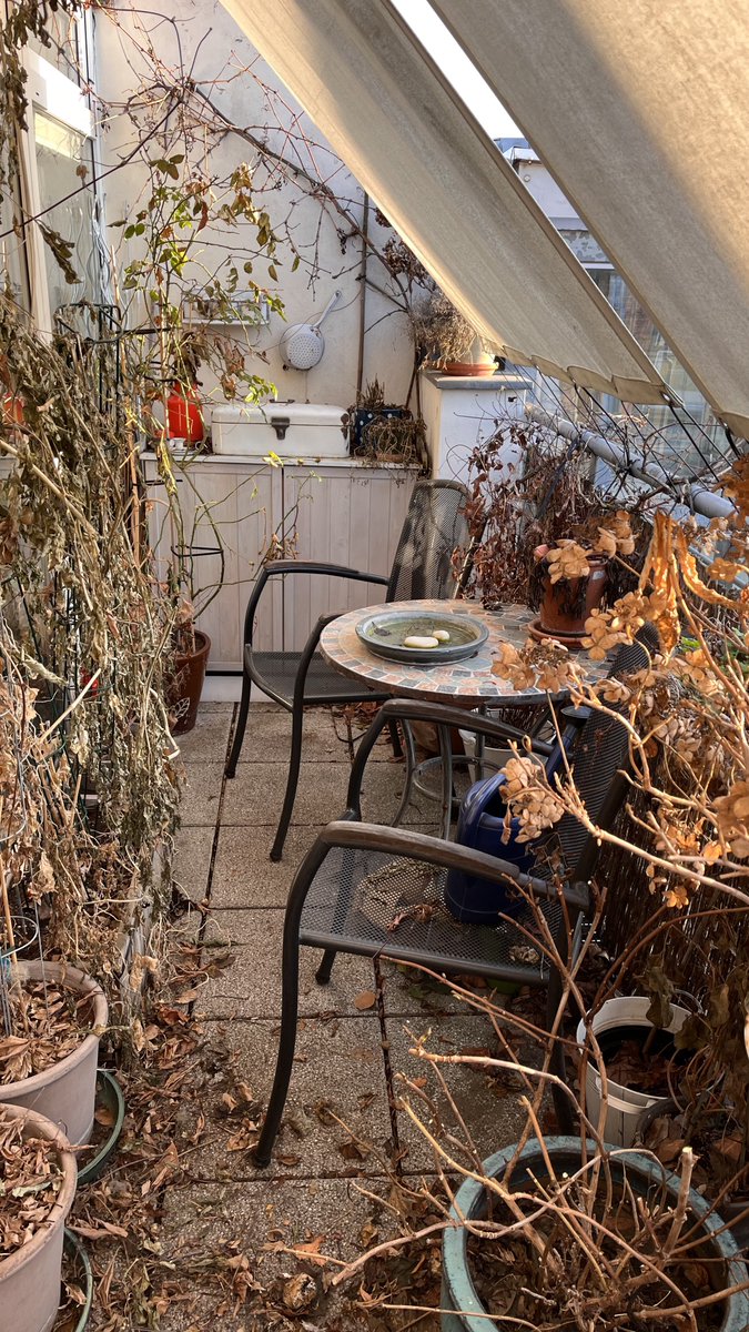 Sabine Leopold tweet media