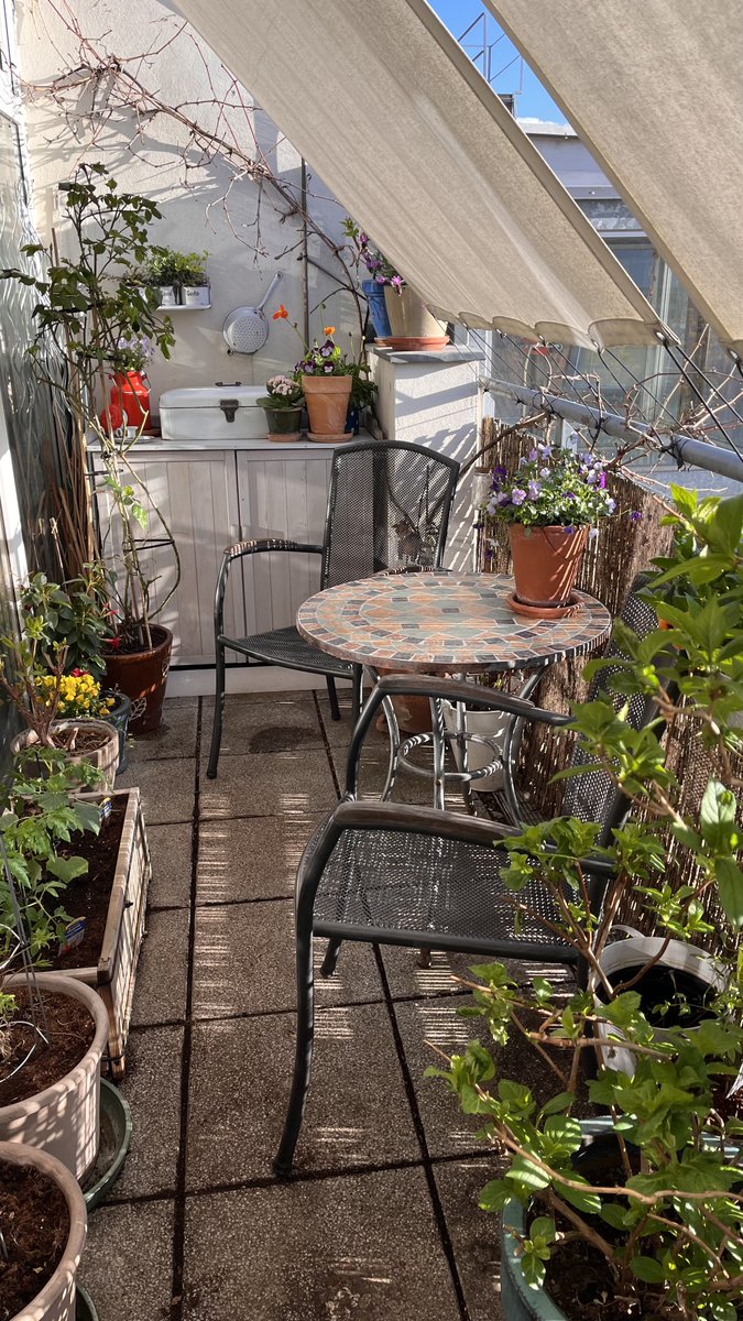 Sabine Leopold tweet media