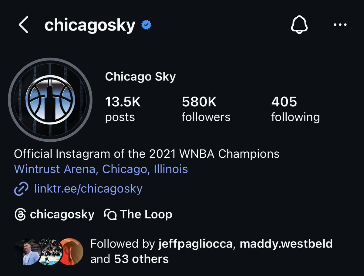 The Sky Show CHI tweet media