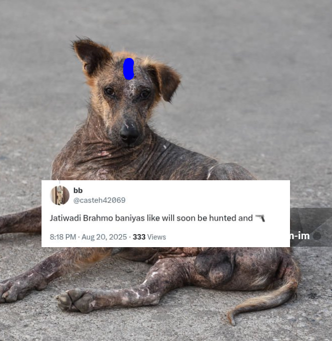 𝘡𝘦𝘩𝘦𝘭 tweet media