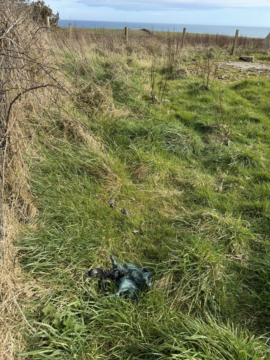 3POPIOM's tweet photo. Clearing up pieces of plastic tree protectors at The People’s Wood at Santon. Plus annoying dumping of poo bags in a pile by the gate. Take it home or use the bin!
@UnescoMan @manxnature #3pop #3piecesofplastic https://t.co/MGZtnbcpp2