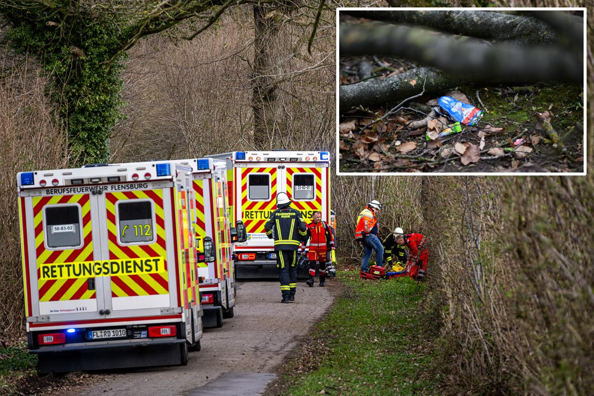 Robbie Mouton tweet media