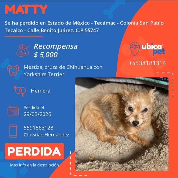 UBICAPET MÉXICO tweet media