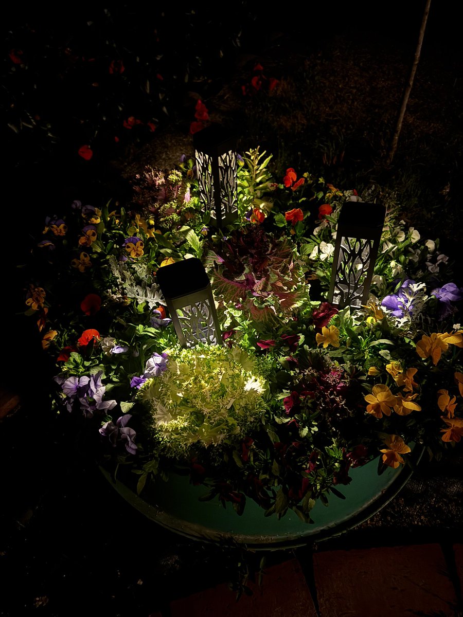 菓子パンダ🥞🐼 tweet media