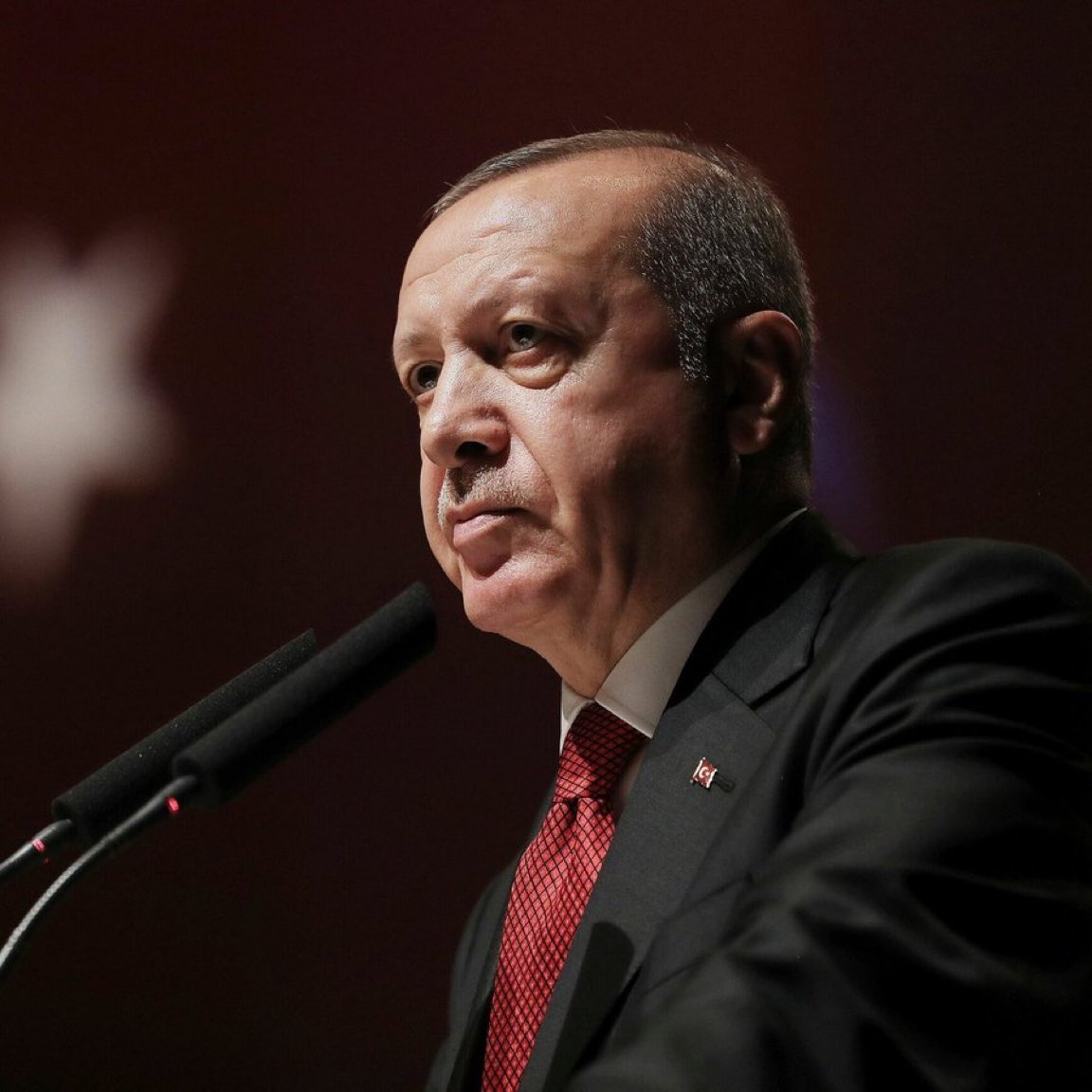 Gökçe Katun tweet media