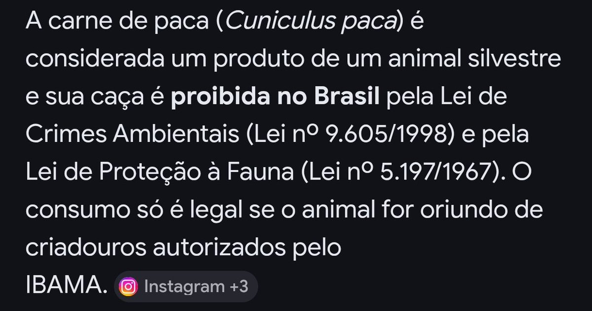Pela Paulistânia 🐆 tweet media