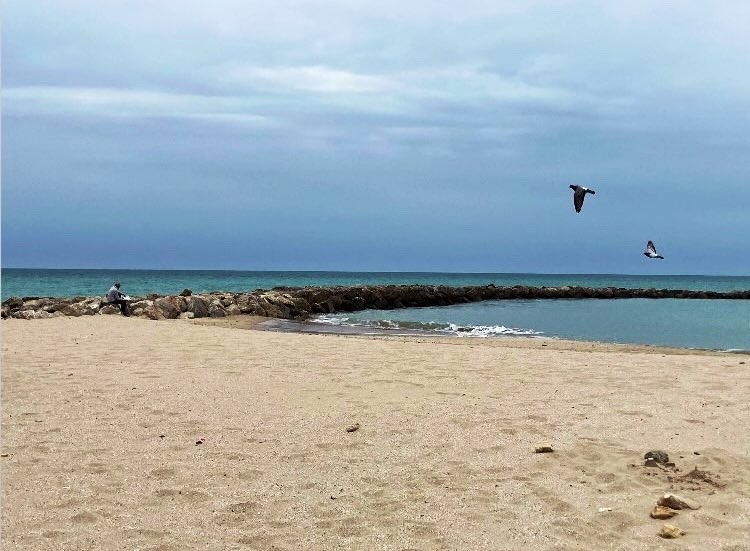 Rosario López tweet media