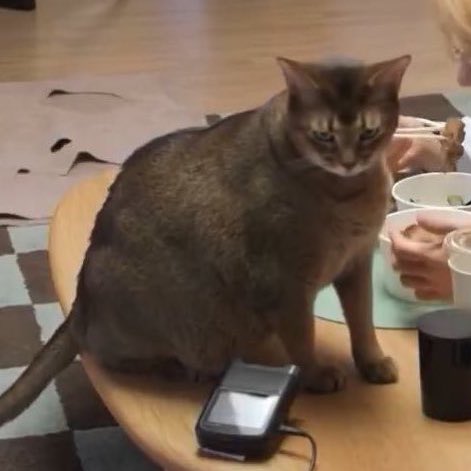 𝗙𝗦𝗧.𝘁𝘁𝗲𝗻𝗮𝗲 | ( กต นามสกุลลี ) TEN tweet media